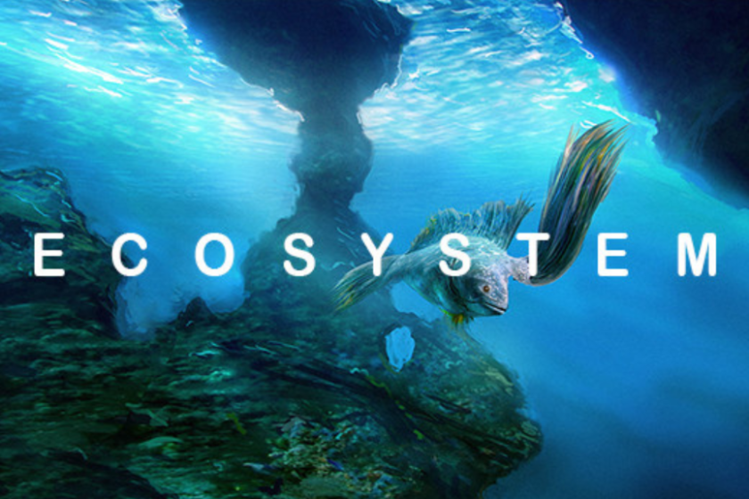 Ecosystem